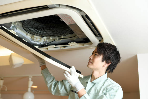 Best Affordable Duct Cleaning Services  in Attica, MI